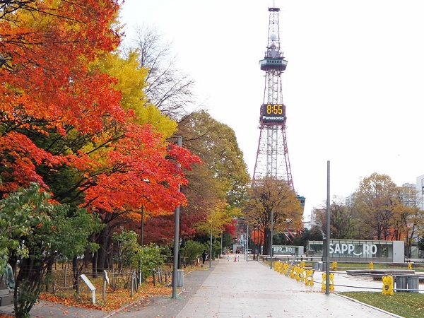 大通公園の写真