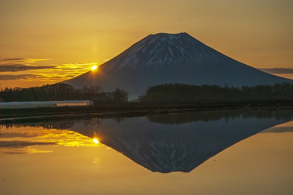 羊蹄山の写真