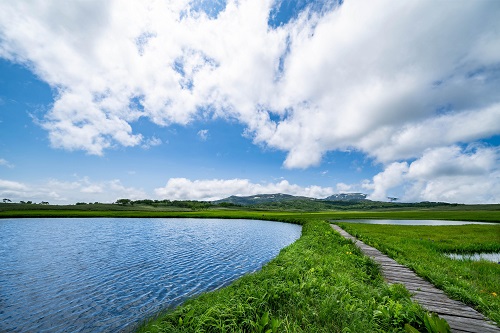 雨竜沼湿原の写真