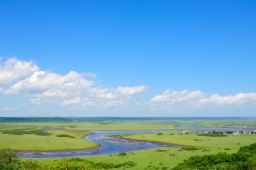 霧多布湿原の写真