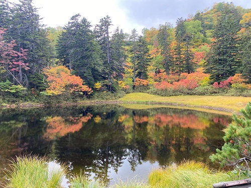 大雪高原温泉（池沼群）の写真