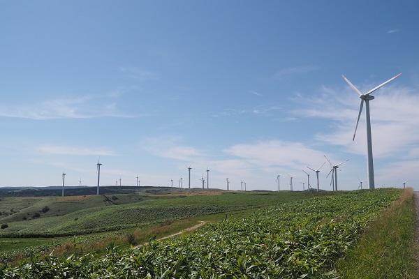 宗谷丘陵の写真