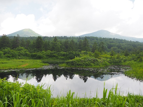 八甲田山の写真