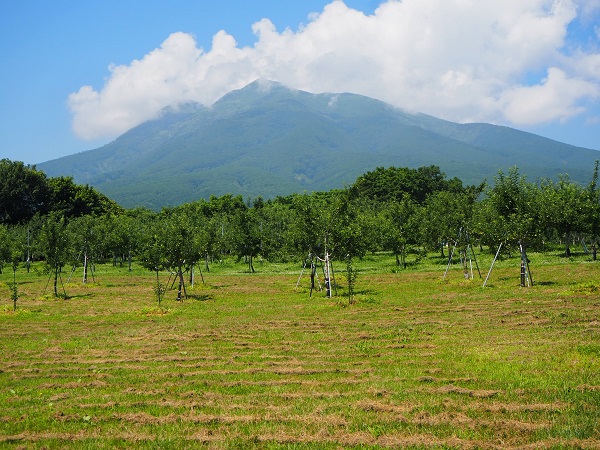 岩木山の写真