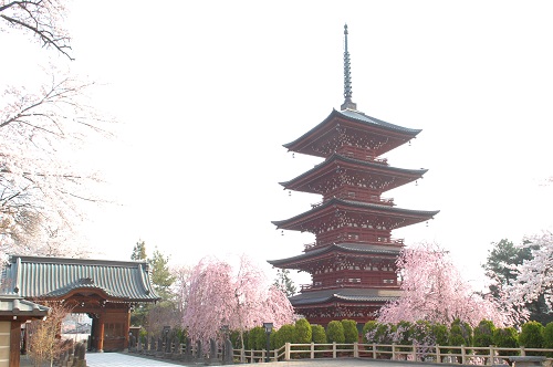 金剛山 最勝院の写真