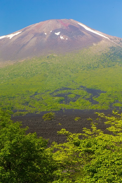 岩手山焼走り熔岩流の写真