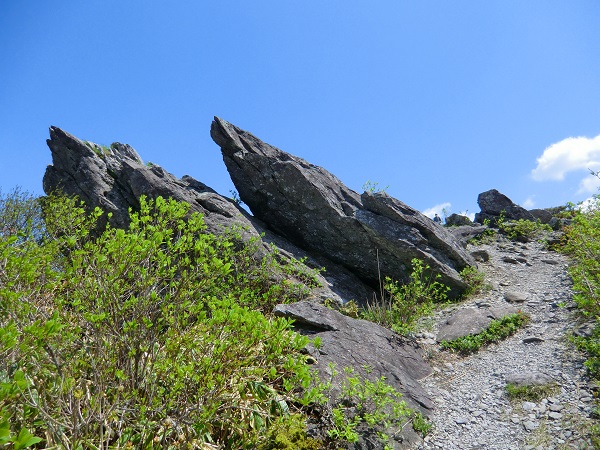 種山ヶ原の写真