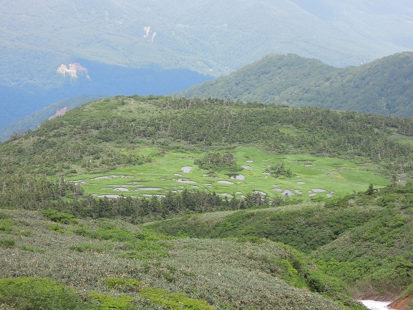 千沼ケ原の写真