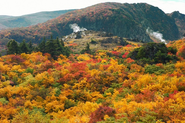 栗駒山の写真