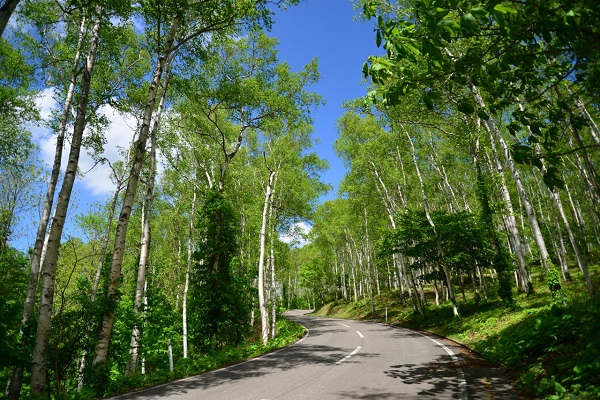 平庭高原の写真