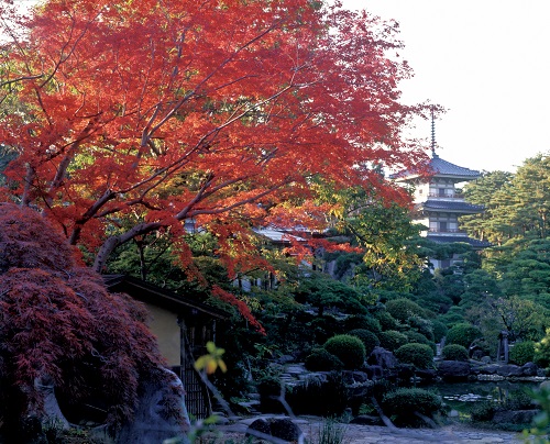 輪王寺の写真