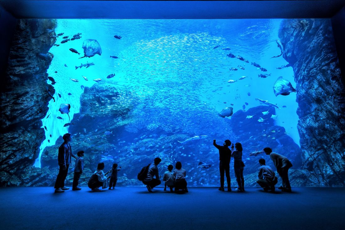 仙台うみの杜水族館の写真