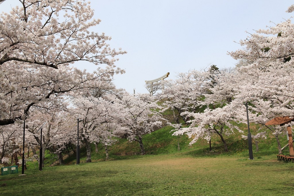 日和山公園の写真