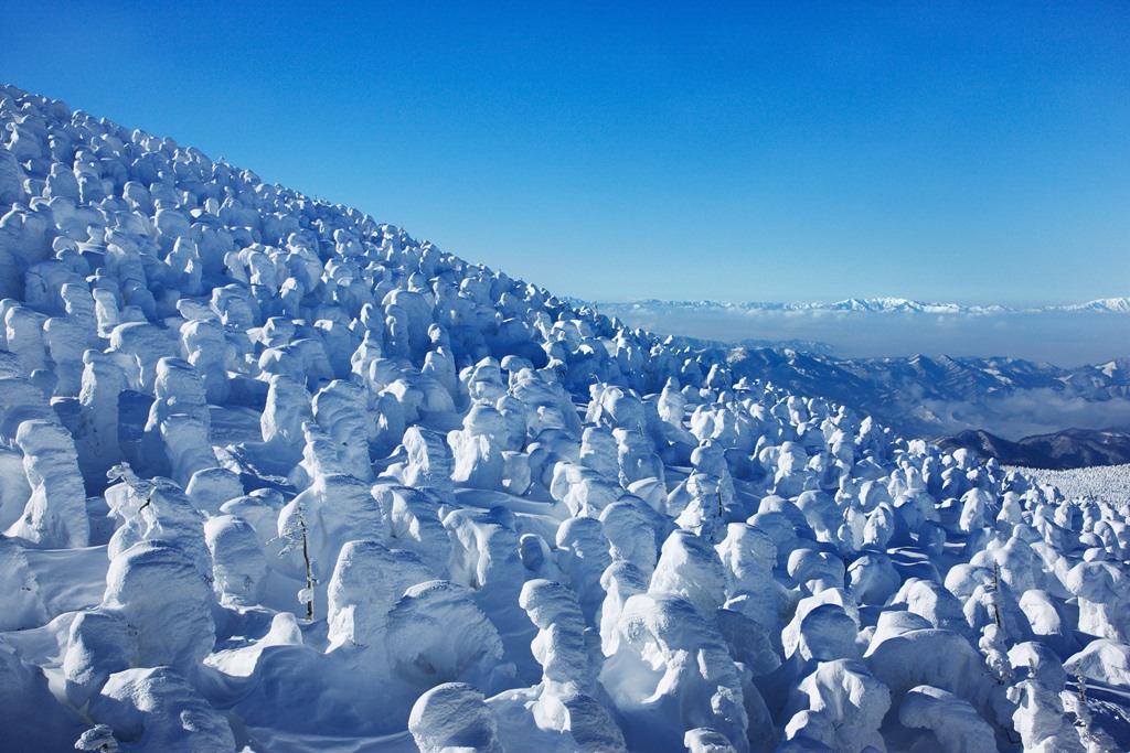 蔵王の樹氷の写真