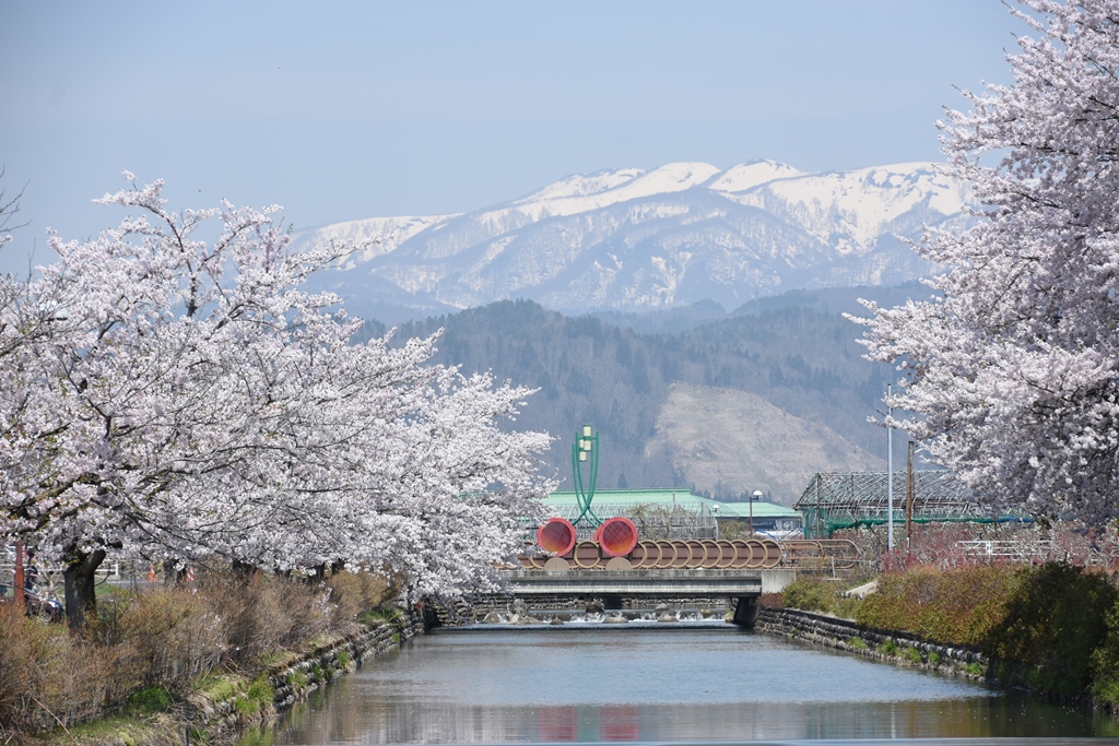 葉山（村山）の写真