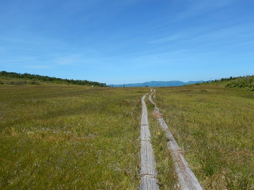 田代山湿原の写真