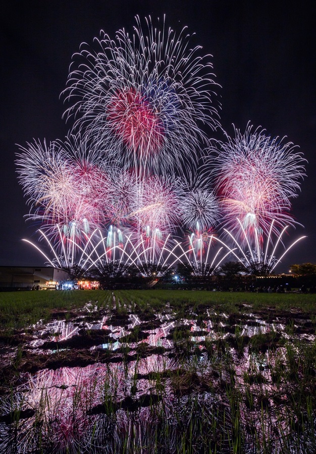 土浦全国花火競技大会の写真