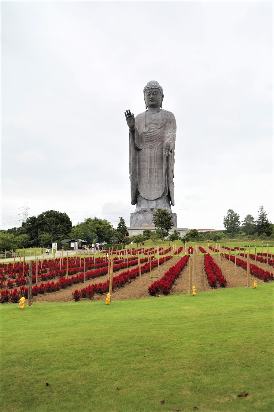 牛久大仏の写真