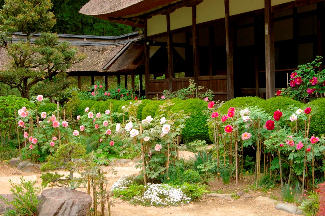 大雄寺の写真