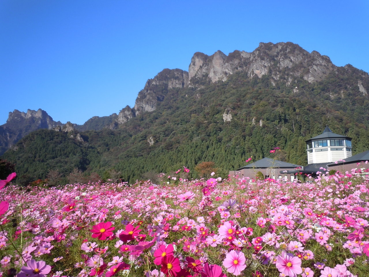 妙義山の写真