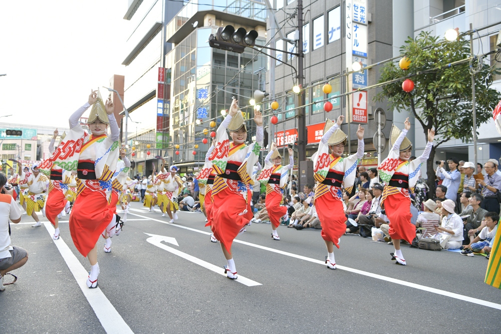 南越谷阿波踊りの写真