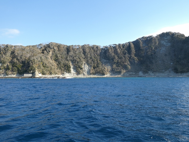 鯛の浦のタイの写真