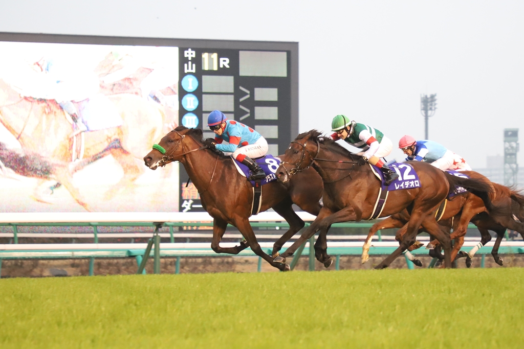 中山競馬場の有馬記念の写真