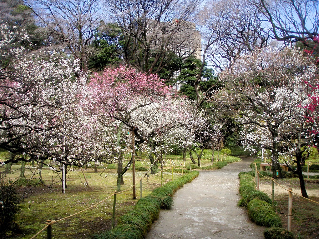 小石川後楽園の写真