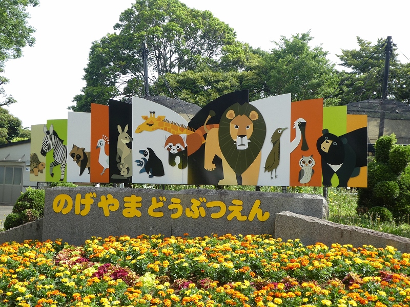 野毛山動物園の写真