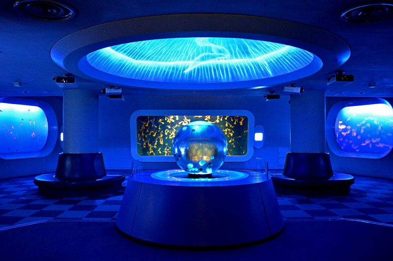 クラゲファンタジーホール：長年の飼育研究と展示手法を活かした世界有数のクラゲ空間の写真