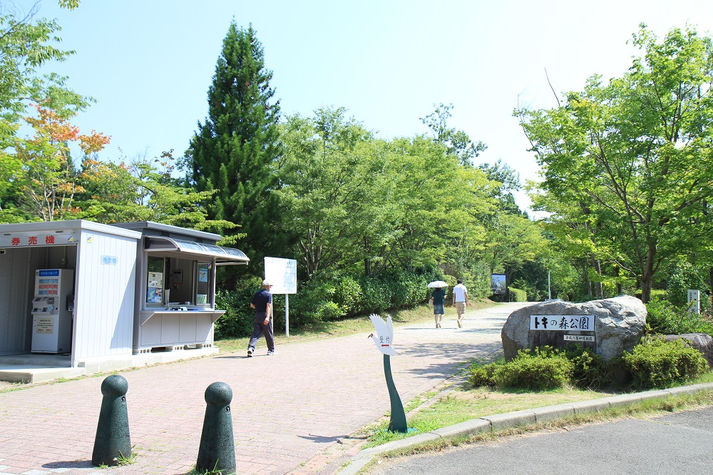 トキの森公園の写真