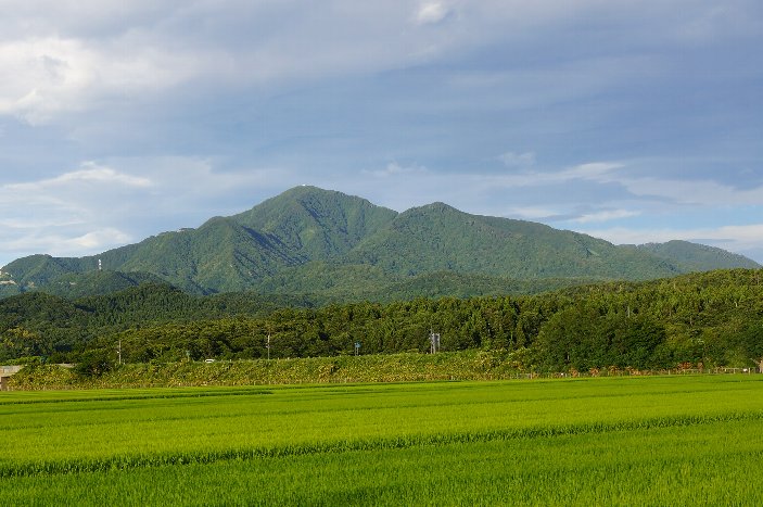 米山の写真