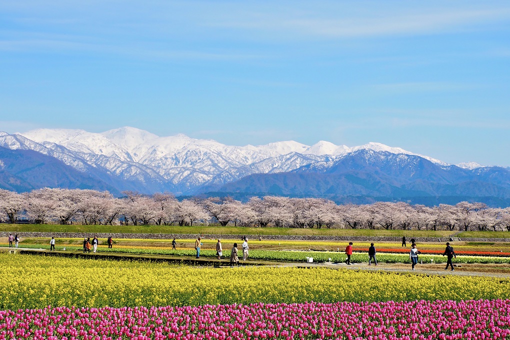 朝日岳の写真