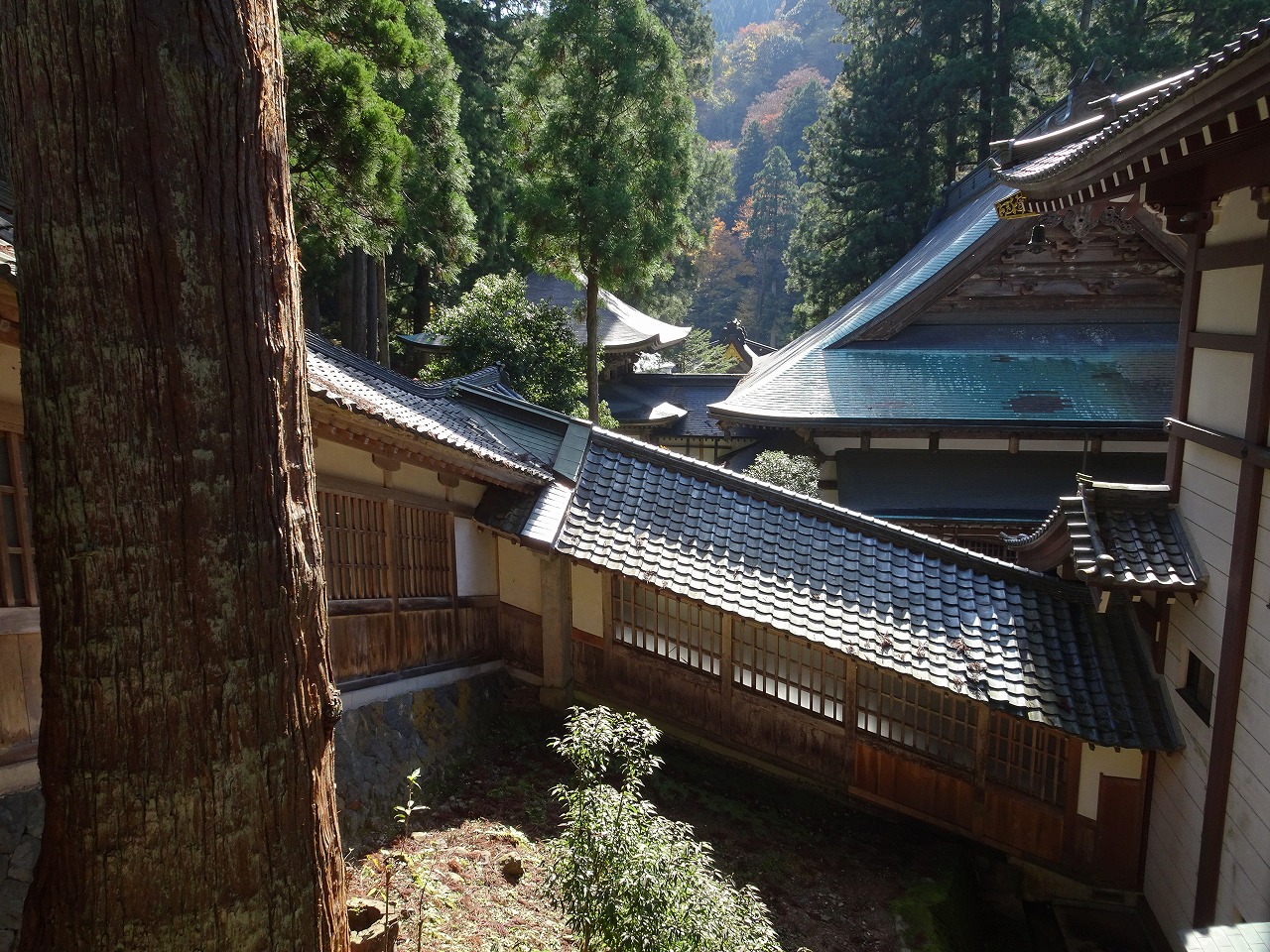 永平寺の写真