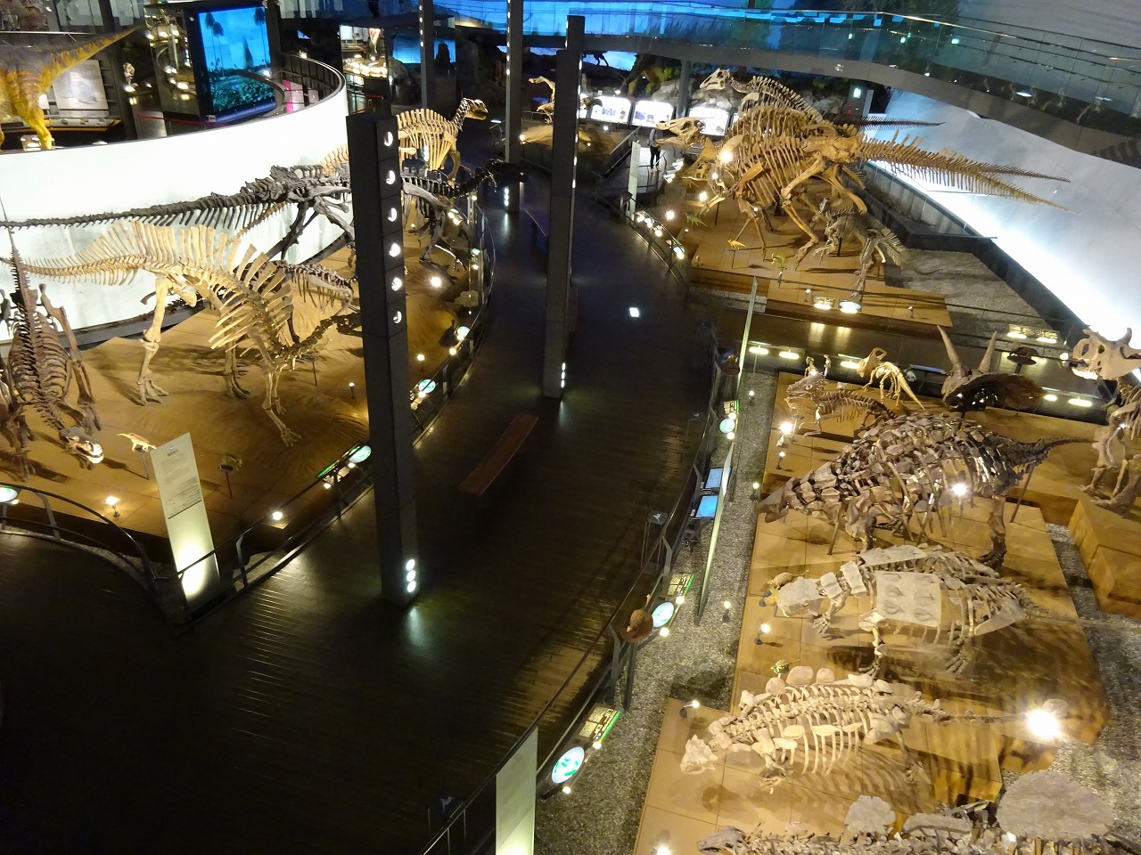 福井県立恐竜博物館の写真