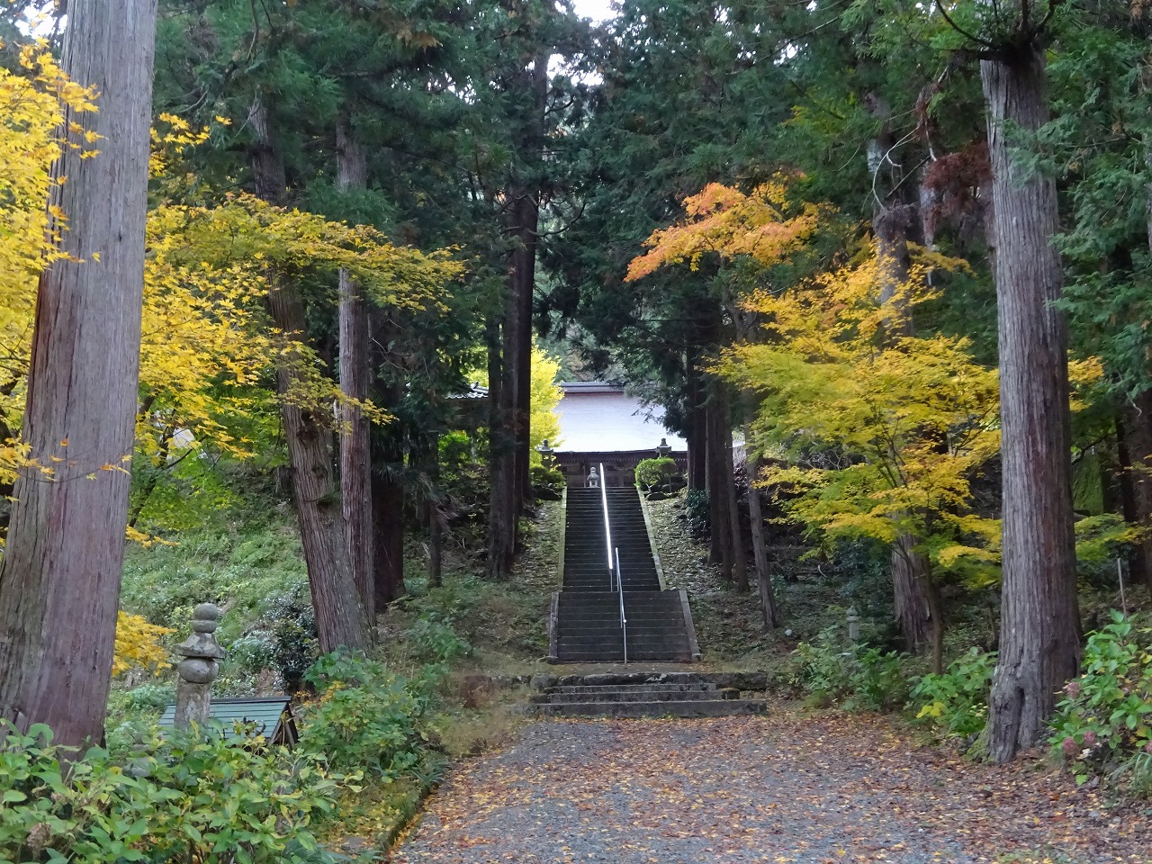 羽賀寺の写真