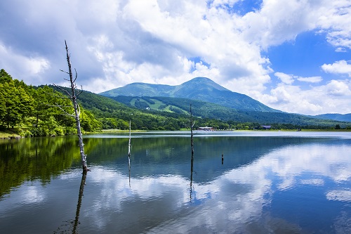 蓼科山の写真