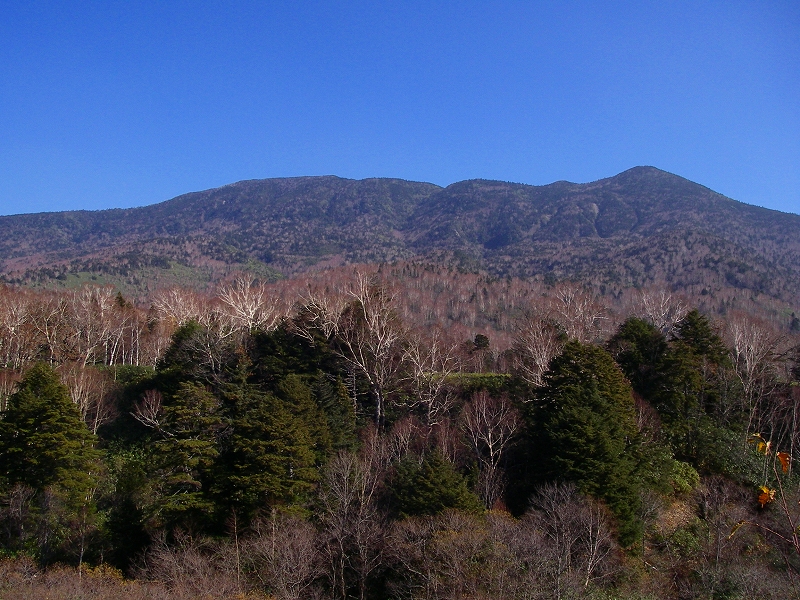 岩菅山の写真