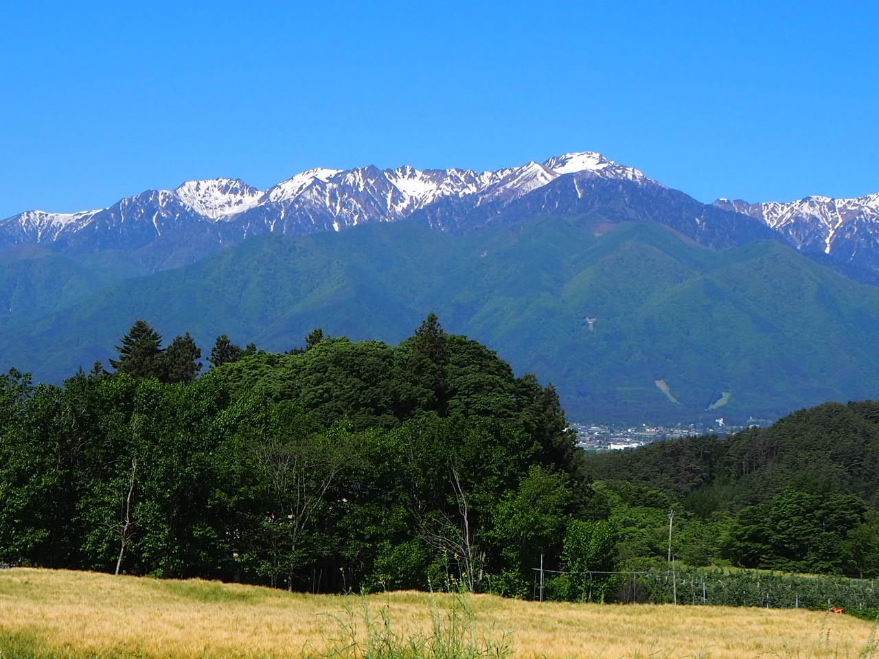 南駒ヶ岳の写真