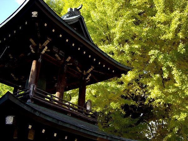 飛騨国分寺の写真