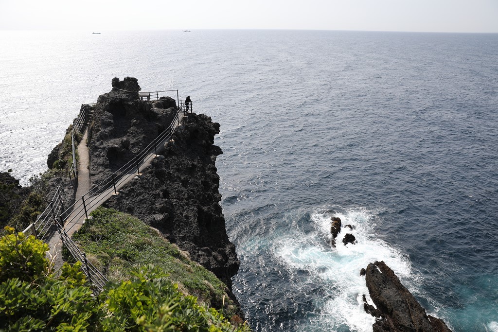 南伊豆の海岸（石廊崎～波勝崎）の写真