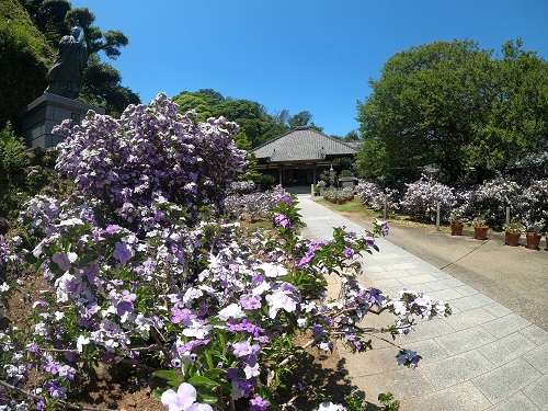 了仙寺の写真