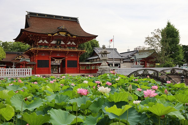 伊賀八幡宮の写真