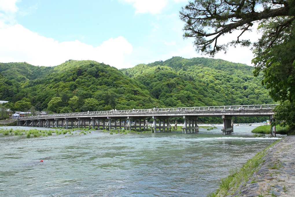 桂川(嵐山周辺)の写真