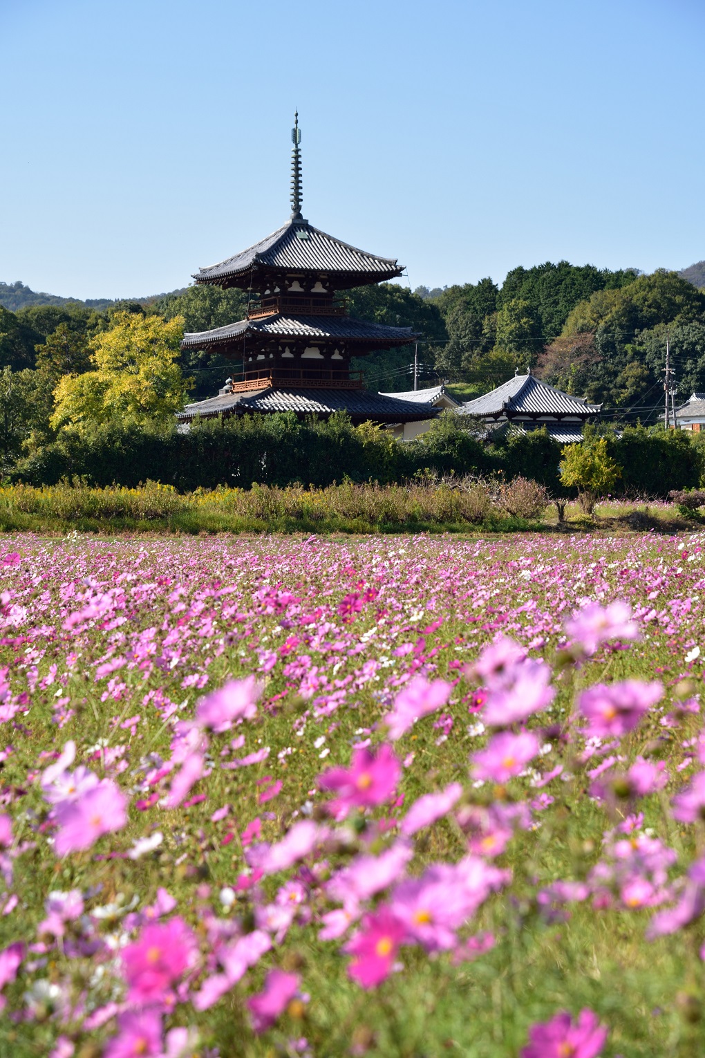 法起寺の写真