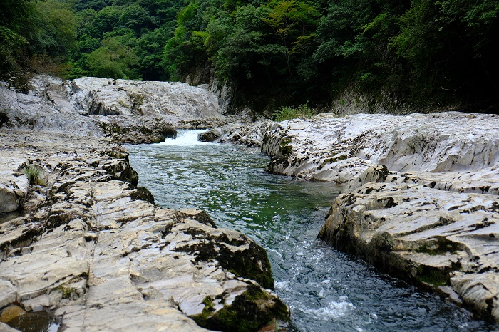 断魚渓の写真