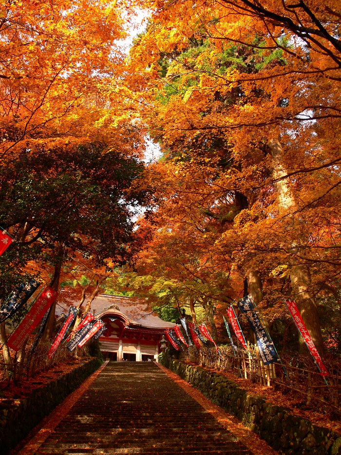 鰐淵寺の写真