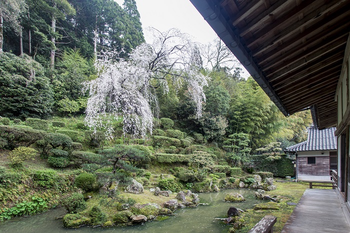 医光寺の写真