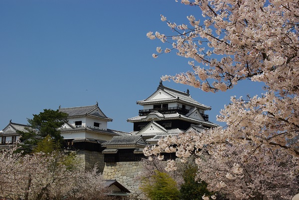 松山城の写真