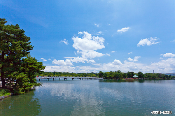 大濠公園の写真